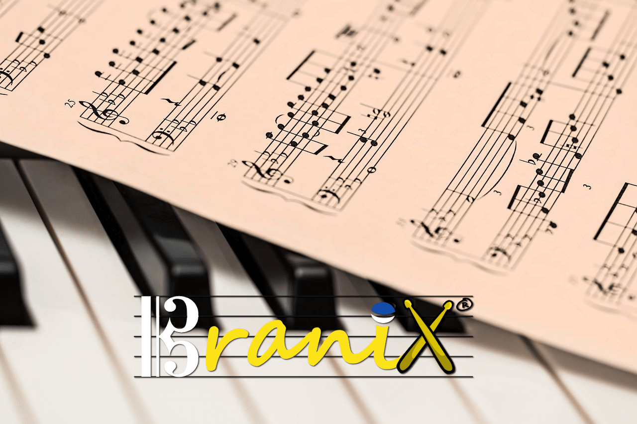 BraniX musica